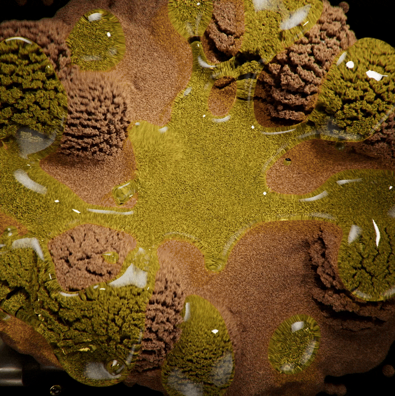 Deeper Understanding of Timelines and Workflow at a 3D Studio