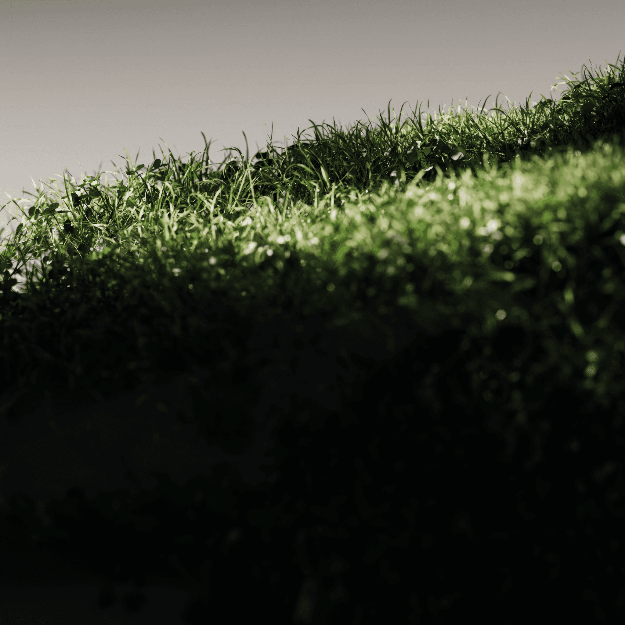 Husqvarna. — Intro